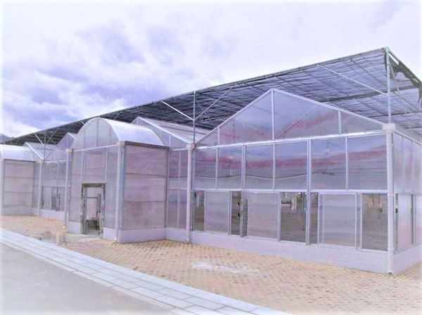 UV Protection Polycarbonate Sheet For Sun Room